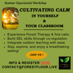 Advertisement for Forest Floor